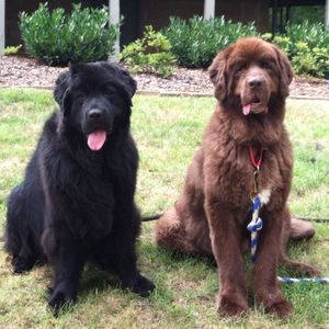 Meet your Posher, Cory